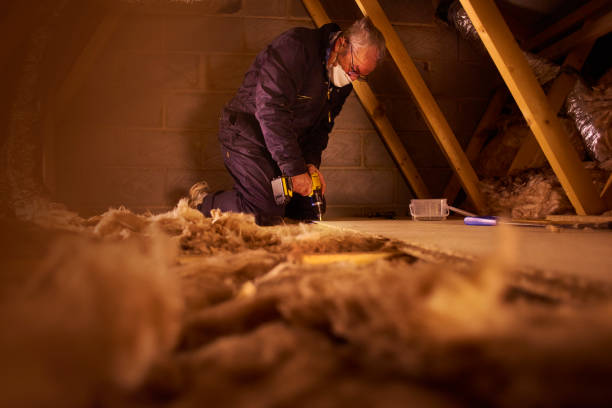 Best Residential Insulation in Merriam, KS